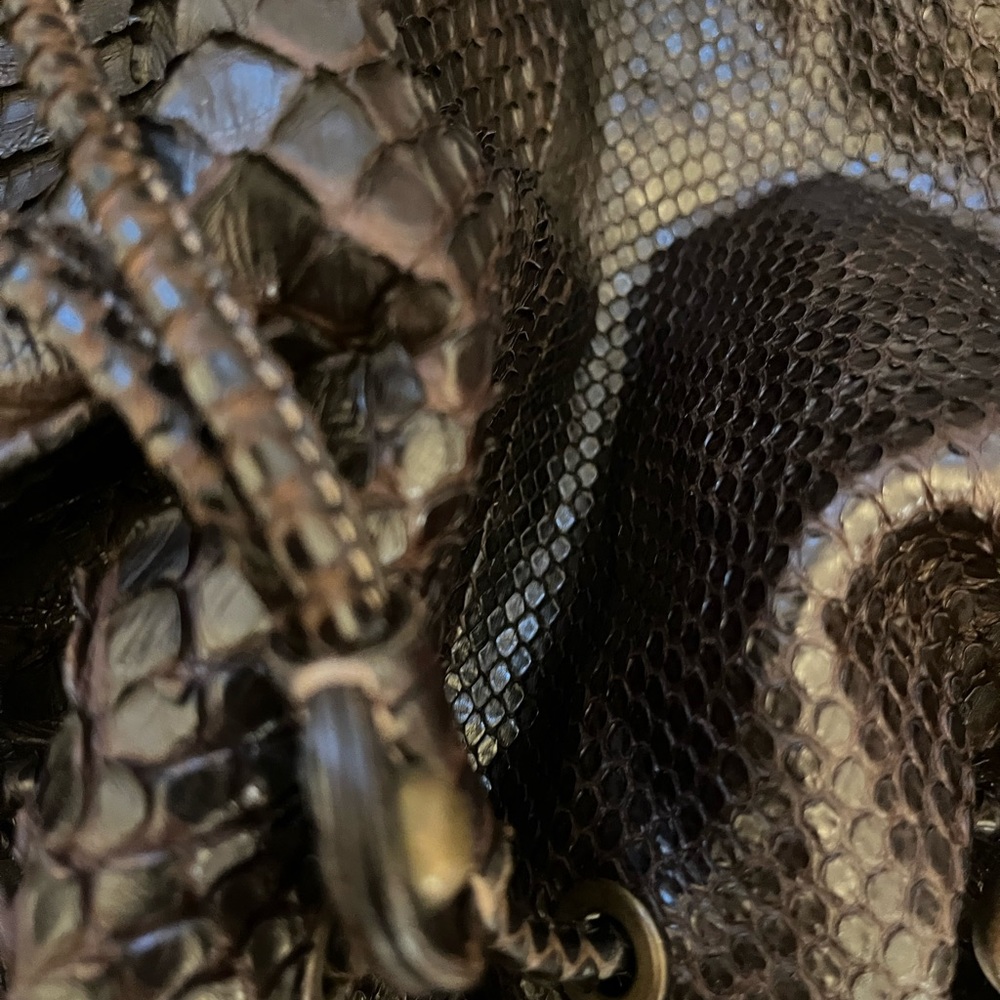 Jane August Authentic Python Chocolate Brown Draw… - image 8